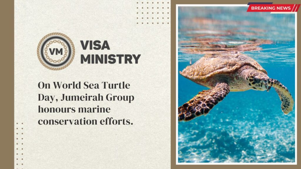 On World Sea Turtle Day, Jumeirah Group honours marine conservation efforts