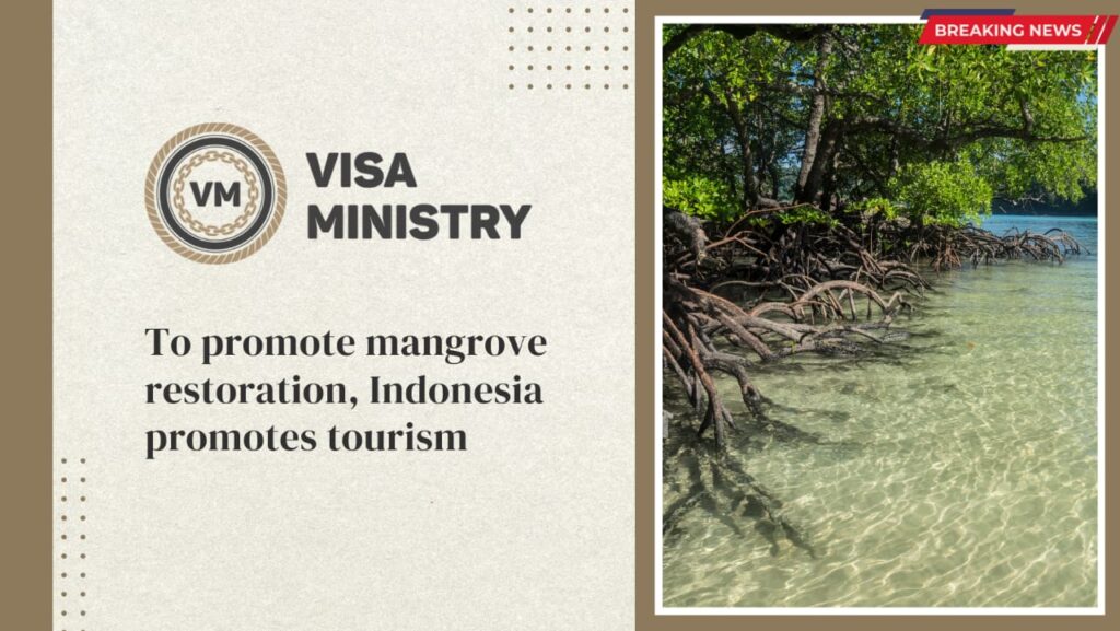To promote mangrove restoration, Indonesia promotes tourism