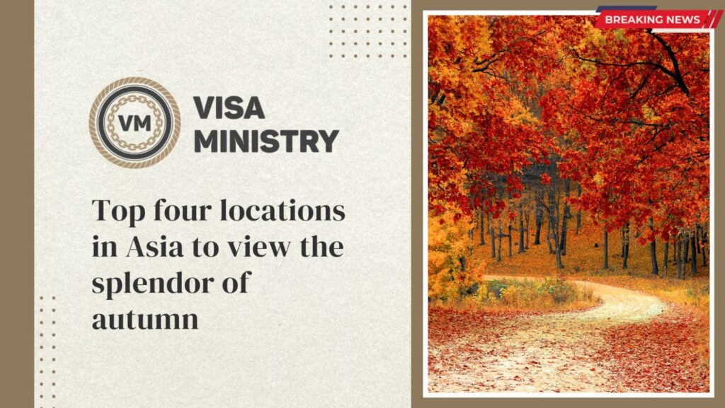 Top four locations in Asia to view the splendor of autumn