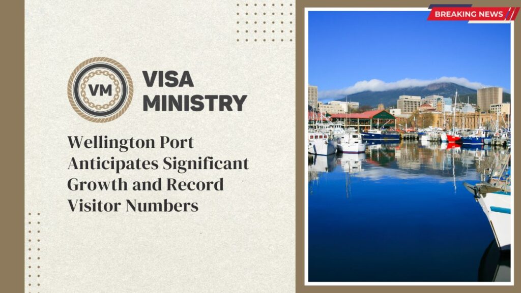 Wellington Port Anticipates Significant Growth and Record Visitor Numbers