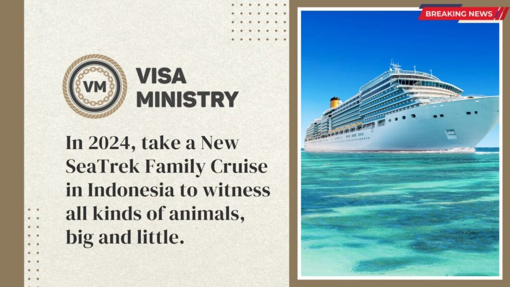In 2024, take a New SeaTrek Family Cruise in Indonesia to witness all kinds of animals, big and little.